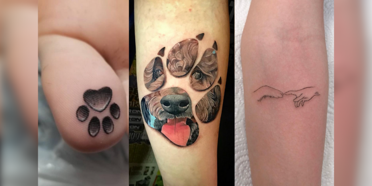 La tendance du moment : se faire tatouer les empreintes de son chien ! -  Radio Scoop
